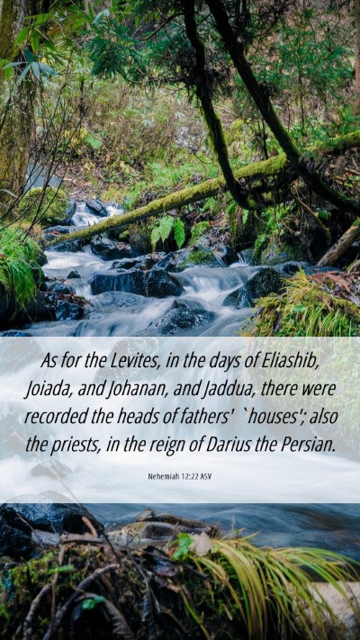 Picture 06 - Nehemiah 12:22 ASV Mobile Phone Wallpaper - As for the Levites, in the days of Eliashib, - Mobile Bible Verse Wallpaper