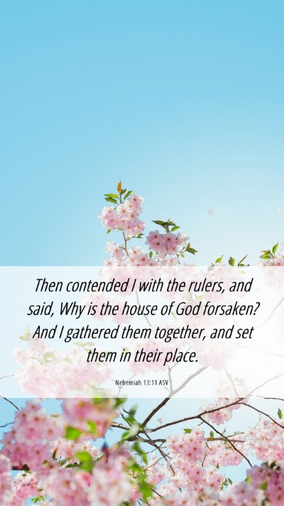 Picture 06 - Nehemiah 13:11 ASV Mobile Phone Wallpaper - Then contended I with the rulers, and said, Why - Mobile Bible Verse Wallpaper