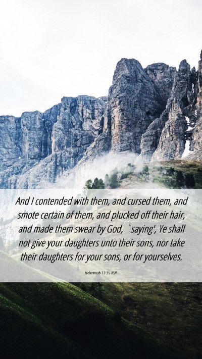 Picture 06 - Nehemiah 13:25 ASV Mobile Phone Wallpaper - And I contended with them, and cursed them, and - Mobile Bible Verse Wallpaper