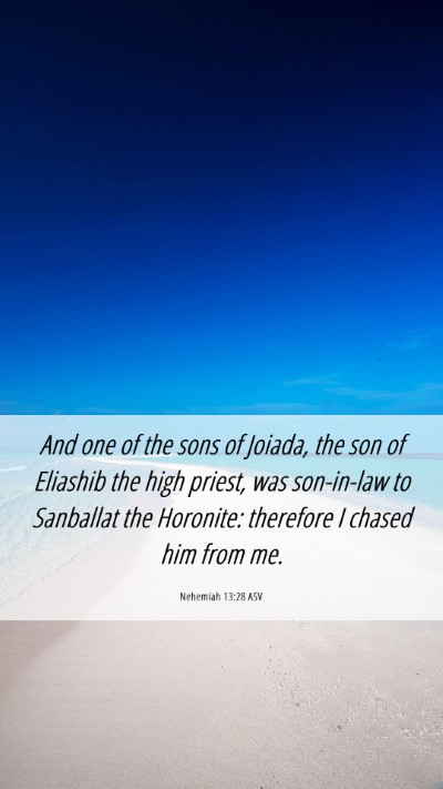 Picture 06 - Nehemiah 13:28 ASV Mobile Phone Wallpaper - And one of the sons of Joiada, the son of - Mobile Bible Verse Wallpaper