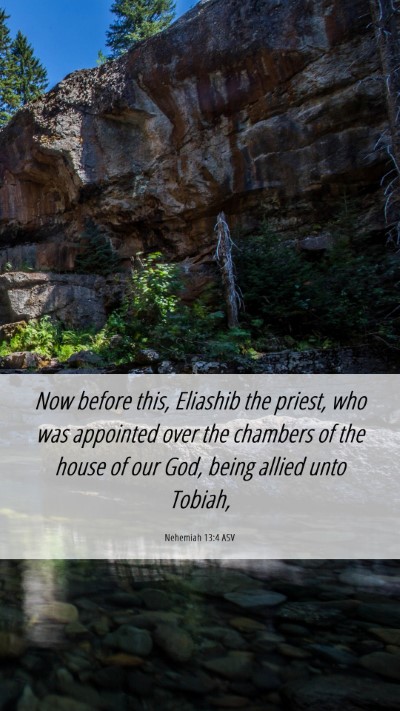 Picture 06 - Nehemiah 13:4 ASV Mobile Phone Wallpaper - Now before this, Eliashib the priest, who was - Mobile Bible Verse Wallpaper