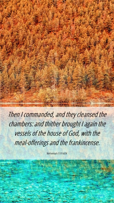 Picture 06 - Nehemiah 13:9 ASV Mobile Phone Wallpaper - Then I commanded, and they cleansed the chambers: - Mobile Bible Verse Wallpaper