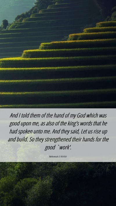 Picture 06 - Nehemiah 2:18 ASV Mobile Phone Wallpaper - And I told them of the hand of my God which was - Mobile Bible Verse Wallpaper