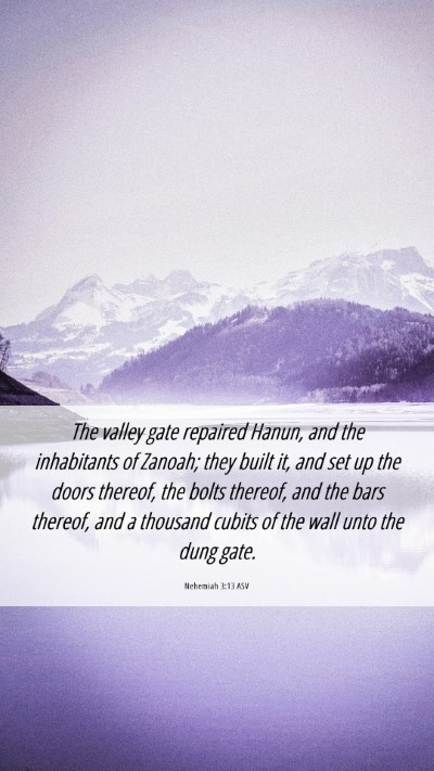 Picture 06 - Nehemiah 3:13 ASV Mobile Phone Wallpaper - The valley gate repaired Hanun, and the - Mobile Bible Verse Wallpaper