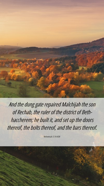 Picture 06 - Nehemiah 3:14 ASV Mobile Phone Wallpaper - And the dung gate repaired Malchijah the son of - Mobile Bible Verse Wallpaper