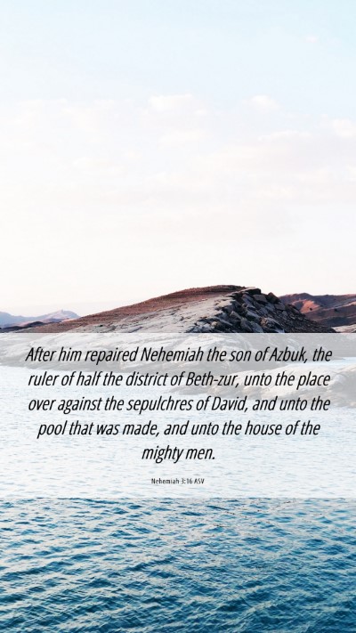 Picture 06 - Nehemiah 3:16 ASV Mobile Phone Wallpaper - After him repaired Nehemiah the son of Azbuk, the - Mobile Bible Verse Wallpaper