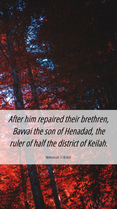 Picture 06 - Nehemiah 3:18 ASV Mobile Phone Wallpaper - After him repaired their brethren, Bavvai the son - Mobile Bible Verse Wallpaper