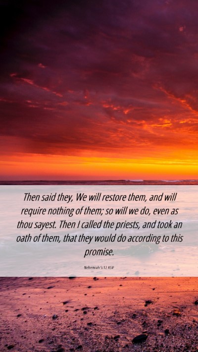 Picture 06 - Nehemiah 5:12 ASV Mobile Phone Wallpaper - Then said they, We will restore them, and will - Mobile Bible Verse Wallpaper