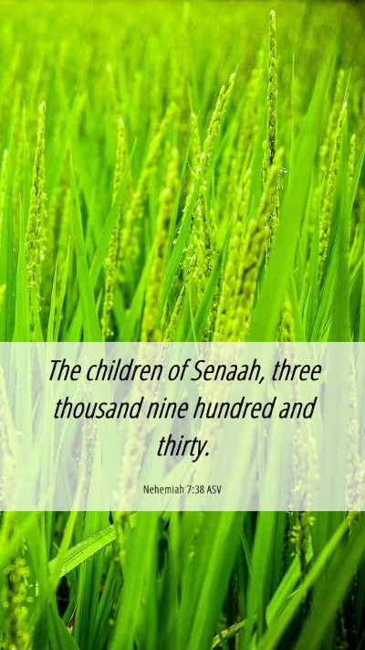 Picture 06 - Nehemiah 7:38 ASV Mobile Phone Wallpaper - The children of Senaah, three thousand nine - Mobile Bible Verse Wallpaper