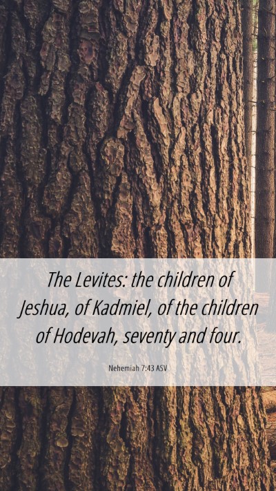 Picture 06 - Nehemiah 7:43 ASV Mobile Phone Wallpaper - The Levites: the children of Jeshua, of Kadmiel, - Mobile Bible Verse Wallpaper