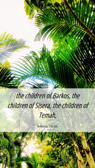 Picture 06 - Nehemiah 7:55 ASV Mobile Phone Wallpaper - the children of Barkos, the children of Sisera, - Mobile Bible Verse Wallpaper