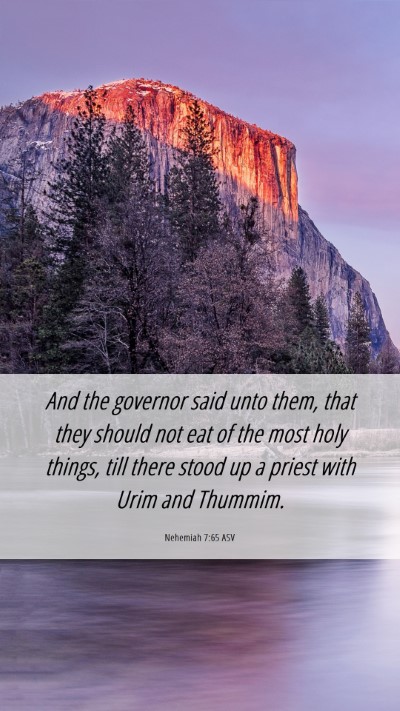 Picture 06 - Nehemiah 7:65 ASV Mobile Phone Wallpaper - And the governor said unto them, that they should - Mobile Bible Verse Wallpaper