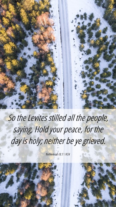 Picture 06 - Nehemiah 8:11 ASV Mobile Phone Wallpaper - So the Levites stilled all the people, saying, - Mobile Bible Verse Wallpaper