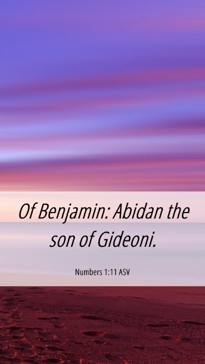 Picture 06 - Numbers 1:11 ASV Mobile Phone Wallpaper - Of Benjamin: Abidan the son of - Mobile Bible Verse Wallpaper