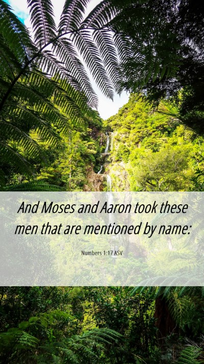 Picture 06 - Numbers 1:17 ASV Mobile Phone Wallpaper - And Moses and Aaron took these men that are - Mobile Bible Verse Wallpaper