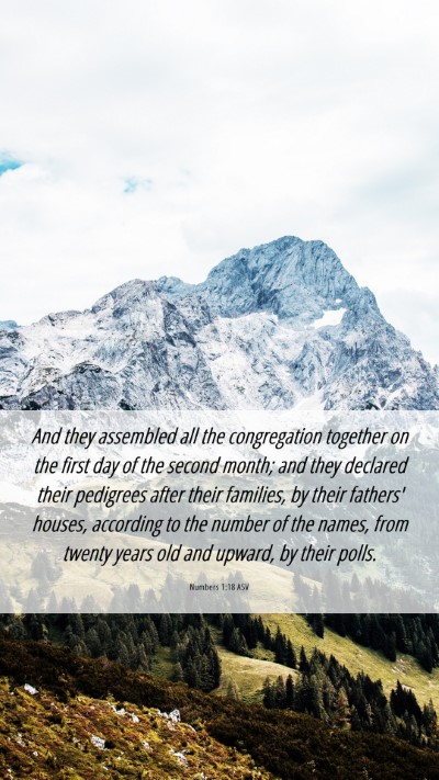 Picture 06 - Numbers 1:18 ASV Mobile Phone Wallpaper - And they assembled all the congregation together - Mobile Bible Verse Wallpaper