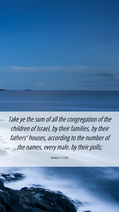 Picture 06 - Numbers 1:2 ASV Mobile Phone Wallpaper - Take ye the sum of all the congregation of the - Mobile Bible Verse Wallpaper