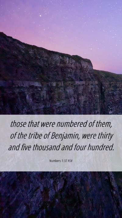 Picture 06 - Numbers 1:37 ASV Mobile Phone Wallpaper - those that were numbered of them, of the tribe of - Mobile Bible Verse Wallpaper