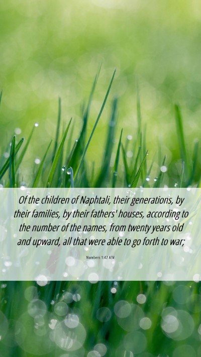 Picture 06 - Numbers 1:42 ASV Mobile Phone Wallpaper - Of the children of Naphtali, their generations, - Mobile Bible Verse Wallpaper