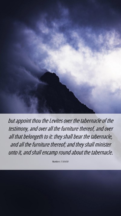 Picture 06 - Numbers 1:50 ASV Mobile Phone Wallpaper - but appoint thou the Levites over the tabernacle - Mobile Bible Verse Wallpaper