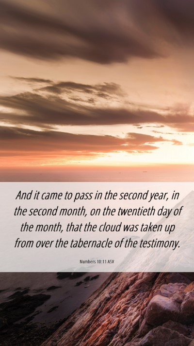 Picture 06 - Numbers 10:11 ASV Mobile Phone Wallpaper - And it came to pass in the second year, in the - Mobile Bible Verse Wallpaper