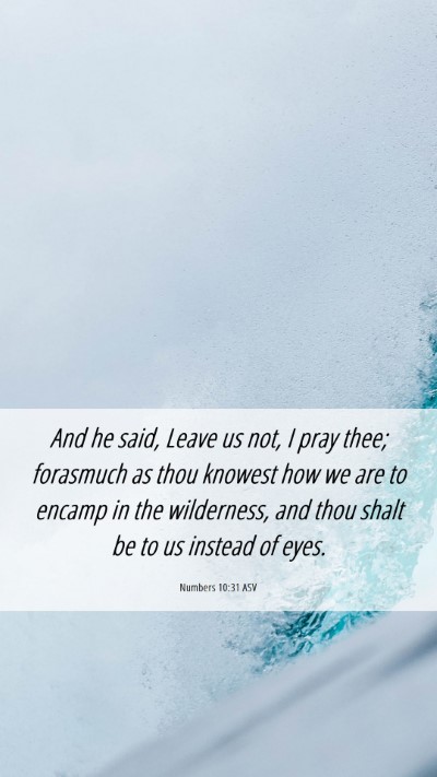 Picture 06 - Numbers 10:31 ASV Mobile Phone Wallpaper - And he said, Leave us not, I pray thee; forasmuch - Mobile Bible Verse Wallpaper