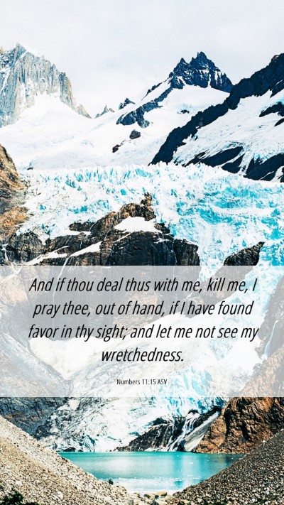 Picture 06 - Numbers 11:15 ASV Mobile Phone Wallpaper - And if thou deal thus with me, kill me, I pray - Mobile Bible Verse Wallpaper