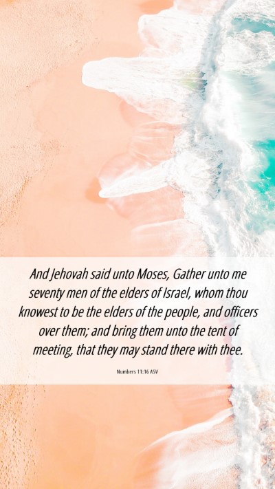 Picture 06 - Numbers 11:16 ASV Mobile Phone Wallpaper - And Jehovah said unto Moses, Gather unto me - Mobile Bible Verse Wallpaper