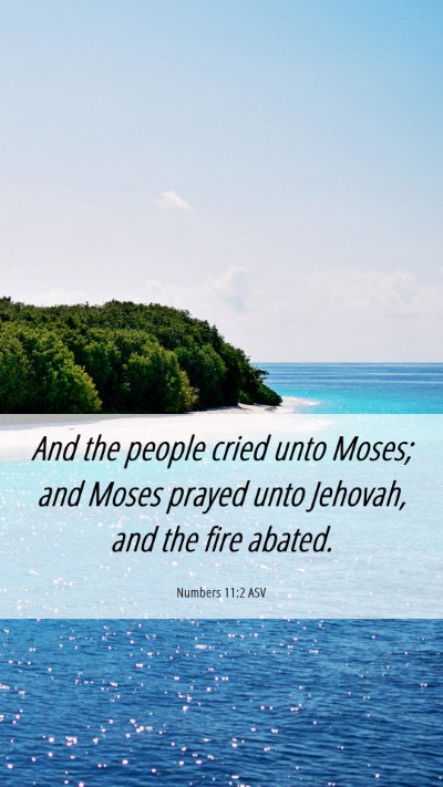 Picture 06 - Numbers 11:2 ASV Mobile Phone Wallpaper - And the people cried unto Moses; and Moses prayed - Mobile Bible Verse Wallpaper