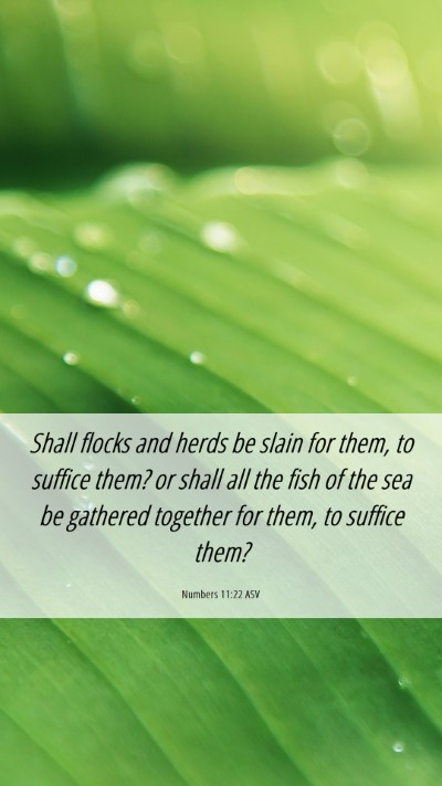 Picture 06 - Numbers 11:22 ASV Mobile Phone Wallpaper - Shall flocks and herds be slain for them, to - Mobile Bible Verse Wallpaper
