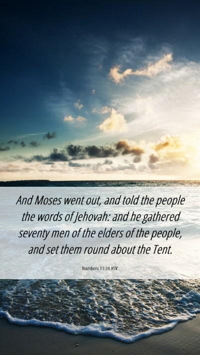 Picture 06 - Numbers 11:24 ASV Mobile Phone Wallpaper - And Moses went out, and told the people the words - Mobile Bible Verse Wallpaper
