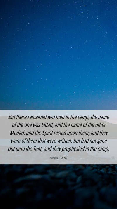 Picture 06 - Numbers 11:26 ASV Mobile Phone Wallpaper - But there remained two men in the camp, the name - Mobile Bible Verse Wallpaper