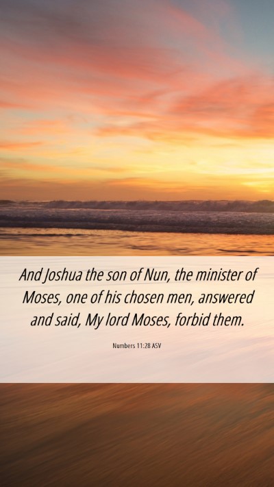 Picture 06 - Numbers 11:28 ASV Mobile Phone Wallpaper - And Joshua the son of Nun, the minister of Moses, - Mobile Bible Verse Wallpaper