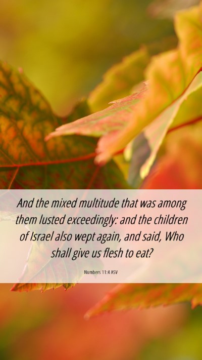 Picture 06 - Numbers 11:4 ASV Mobile Phone Wallpaper - And the mixed multitude that was among them - Mobile Bible Verse Wallpaper