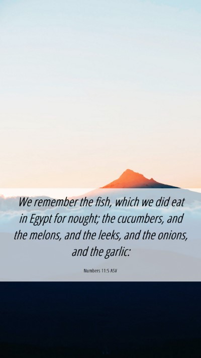 Picture 06 - Numbers 11:5 ASV Mobile Phone Wallpaper - We remember the fish, which we did eat in Egypt - Mobile Bible Verse Wallpaper
