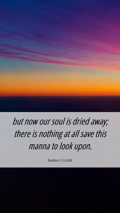 Picture 06 - Numbers 11:6 ASV Mobile Phone Wallpaper - but now our soul is dried away; there is nothing - Mobile Bible Verse Wallpaper