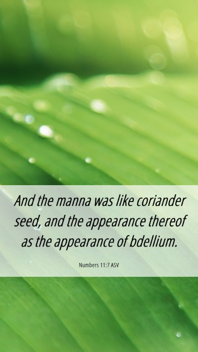 Picture 06 - Numbers 11:7 ASV Mobile Phone Wallpaper - And the manna was like coriander seed, and the - Mobile Bible Verse Wallpaper