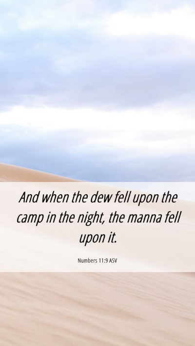 Picture 06 - Numbers 11:9 ASV Mobile Phone Wallpaper - And when the dew fell upon the camp in the night, - Mobile Bible Verse Wallpaper