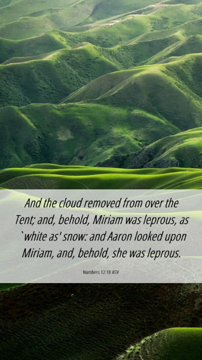 Picture 06 - Numbers 12:10 ASV Mobile Phone Wallpaper - And the cloud removed from over the Tent; and, - Mobile Bible Verse Wallpaper