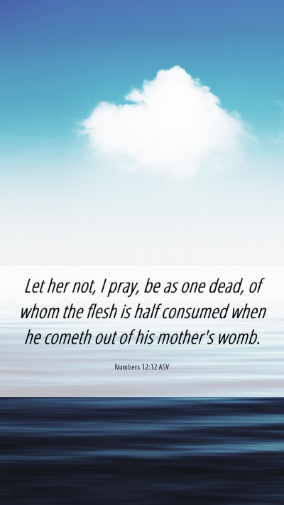 Picture 06 - Numbers 12:12 ASV Mobile Phone Wallpaper - Let her not, I pray, be as one dead, of whom the - Mobile Bible Verse Wallpaper