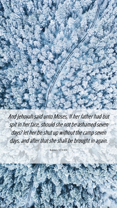 Picture 06 - Numbers 12:14 ASV Mobile Phone Wallpaper - And Jehovah said unto Moses, If her father had - Mobile Bible Verse Wallpaper