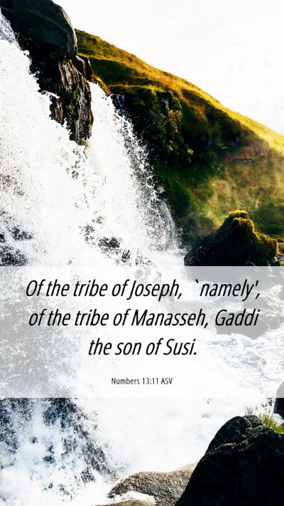 Picture 06 - Numbers 13:11 ASV Mobile Phone Wallpaper - Of the tribe of Joseph, `namely', of the tribe of - Mobile Bible Verse Wallpaper