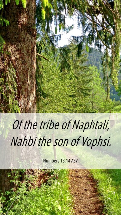 Picture 06 - Numbers 13:14 ASV Mobile Phone Wallpaper - Of the tribe of Naphtali, Nahbi the son of - Mobile Bible Verse Wallpaper
