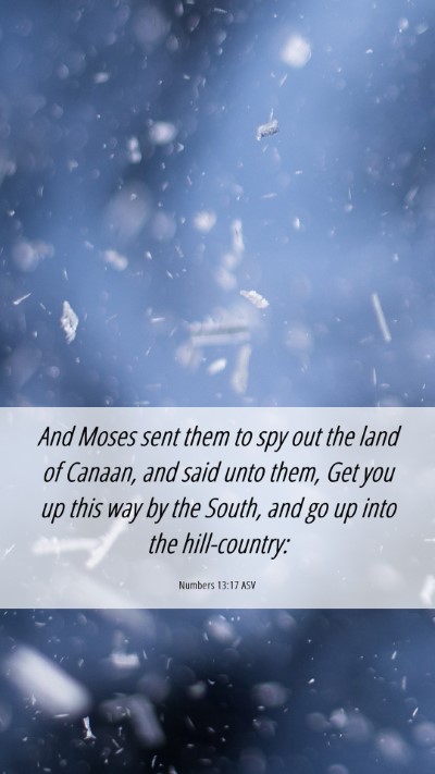 Picture 06 - Numbers 13:17 ASV Mobile Phone Wallpaper - And Moses sent them to spy out the land of - Mobile Bible Verse Wallpaper
