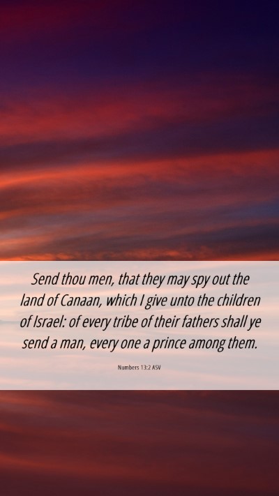 Picture 06 - Numbers 13:2 ASV Mobile Phone Wallpaper - Send thou men, that they may spy out the land of - Mobile Bible Verse Wallpaper