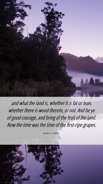 Picture 06 - Numbers 13:20 ASV Mobile Phone Wallpaper - and what the land is, whether it is fat or lean, - Mobile Bible Verse Wallpaper