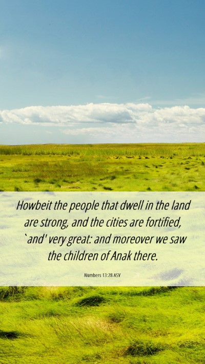 Picture 06 - Numbers 13:28 ASV Mobile Phone Wallpaper - Howbeit the people that dwell in the land are - Mobile Bible Verse Wallpaper