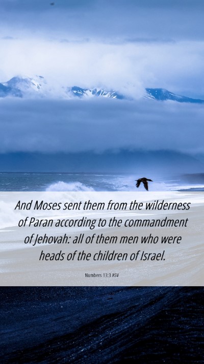 Picture 06 - Numbers 13:3 ASV Mobile Phone Wallpaper - And Moses sent them from the wilderness of Paran - Mobile Bible Verse Wallpaper