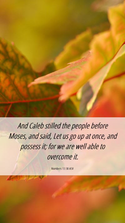 Picture 06 - Numbers 13:30 ASV Mobile Phone Wallpaper - And Caleb stilled the people before Moses, and - Mobile Bible Verse Wallpaper
