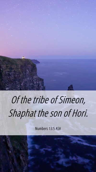 Picture 06 - Numbers 13:5 ASV Mobile Phone Wallpaper - Of the tribe of Simeon, Shaphat the son of - Mobile Bible Verse Wallpaper